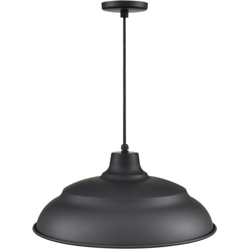 R Series 1 Light 20 inch Satin Black Outdoor Pendant